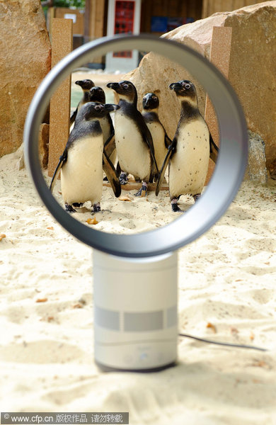 Cool fan p-p-picks-up penguins at London Zoo