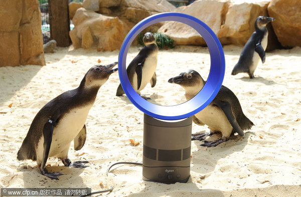 Cool fan p-p-picks-up penguins at London Zoo