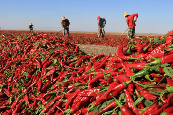 From soldiers to farmers