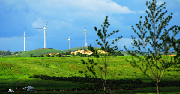 Inner Mongolia leads the way in wind power