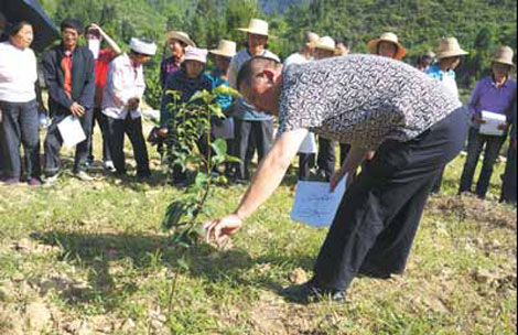 Bayer's new methods bring farmers bumper crop