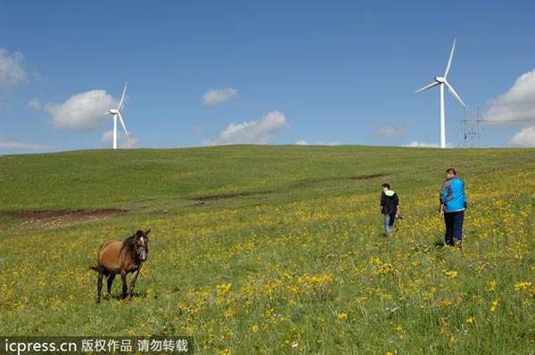 Exploiting the green, green grass of home