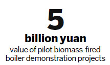 Clean energy plans to aid biomass companies