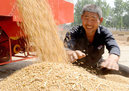 More efforts to ensure bumper harvest of grain, oil