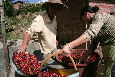 Getting the right blend in China