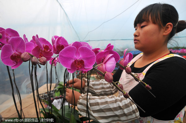 Flower exhibition makes 20m yuan per day