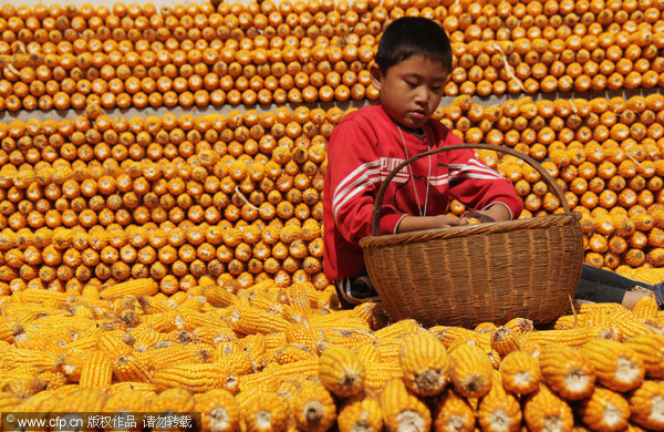 Eighth consecutive yearly increase in grain output