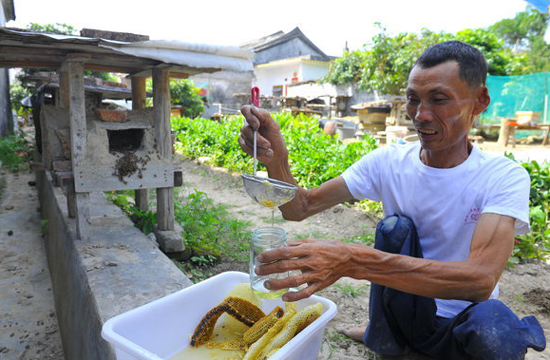 Beekeepers honey causes a buzz