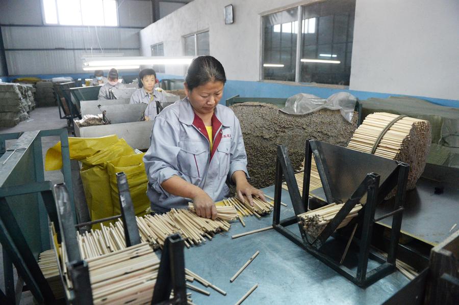 NE China village gets the point on pencils