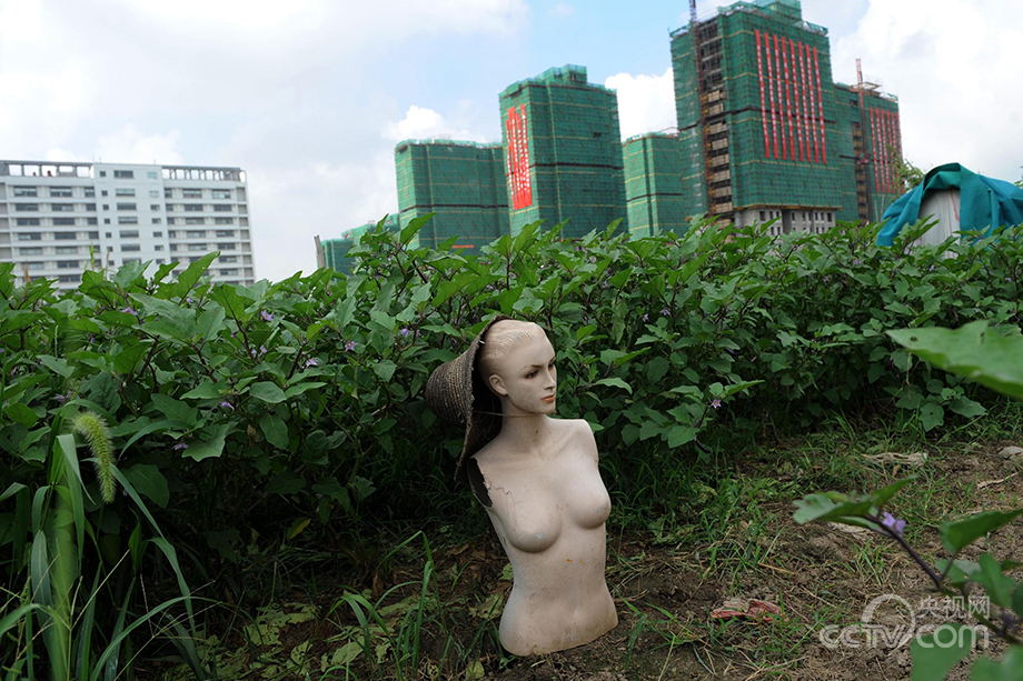 Urban farmers in China