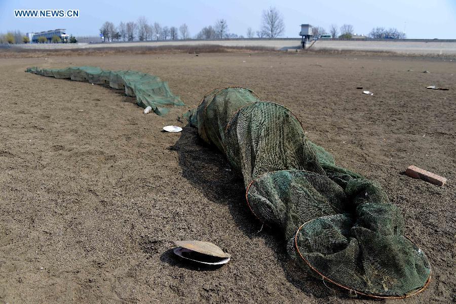 Drought hits China's Shandong province