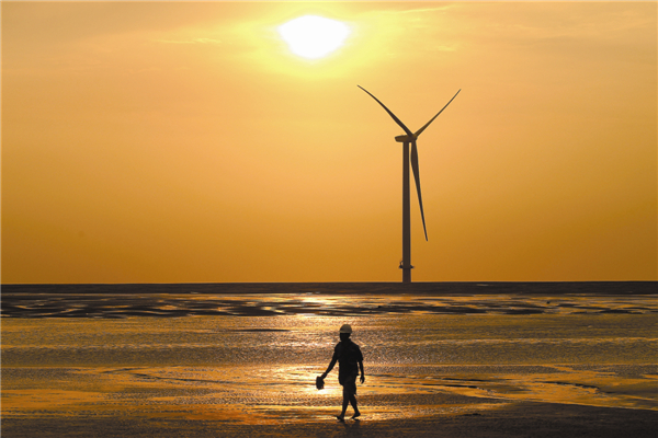 China's new wind power capacity rises 60%, hits record high