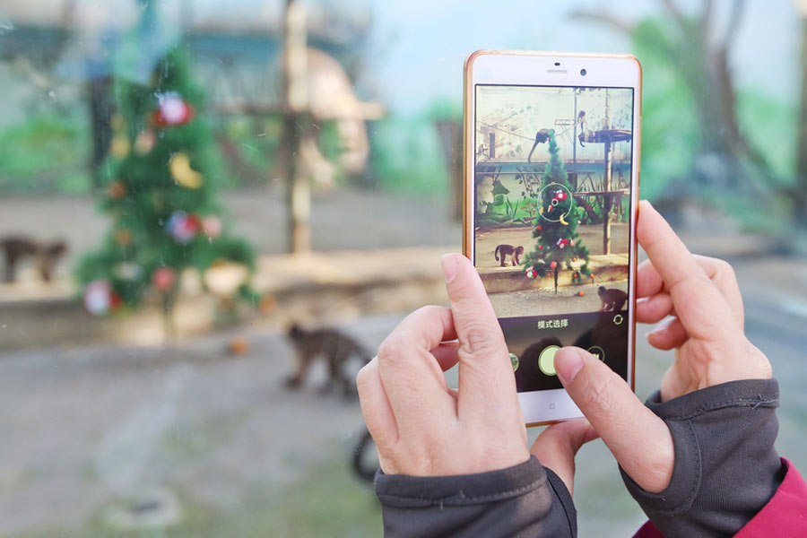 Monkeys enjoy Christmas feast in Zhengzhou