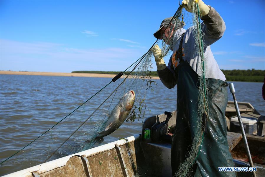 Chinese business brings prosperity to fishermen on Mississippi