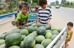 Villagers turn to smartphones, blogs to promote harvest