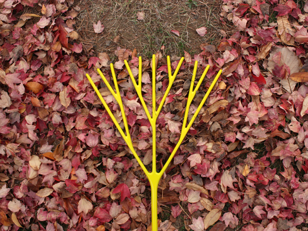 Romantic Rake