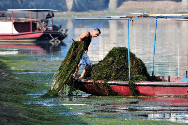 Water pollution fight intensifies