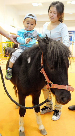 Chinese show they are keen to get in saddle