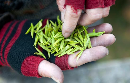 Local beverage may not be everyone's cup of tea