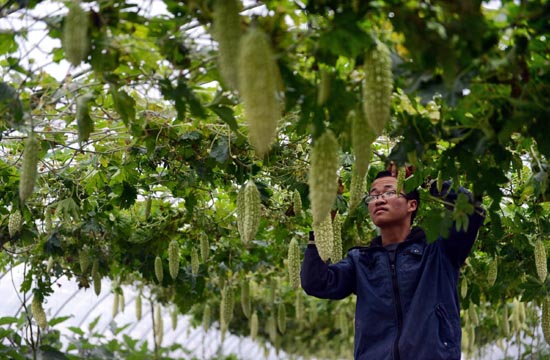 College graduate becomes farmer