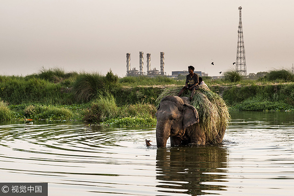 Top 10 highest energy-consuming regions in the world