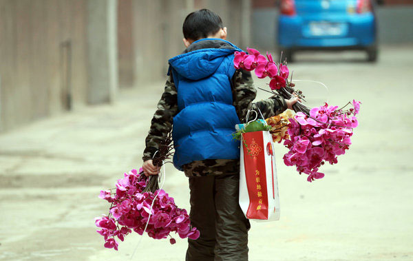 Slump in moth orchid holiday sales