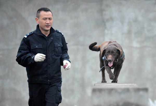 Police dog on duty during travel rush