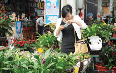 Planter blossoms into a trader