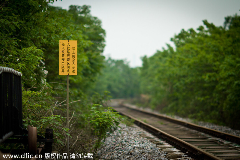 'Most naturally beautiful' railroad