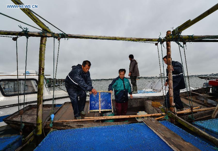 Crab harvest in Yangcheng Lake