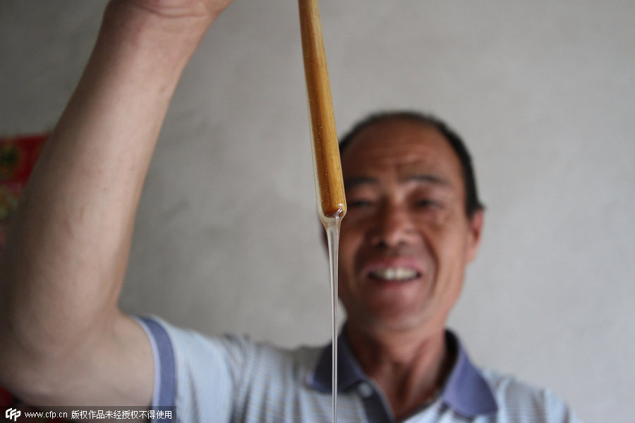 Hebei senior beekeeper's sweet day