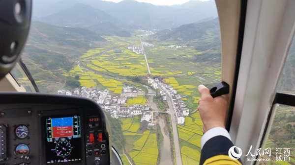 Helicopter service for appreciating rapeseed flowers