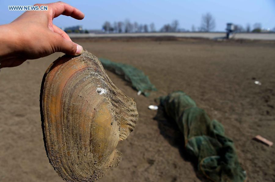 Drought hits China's Shandong province