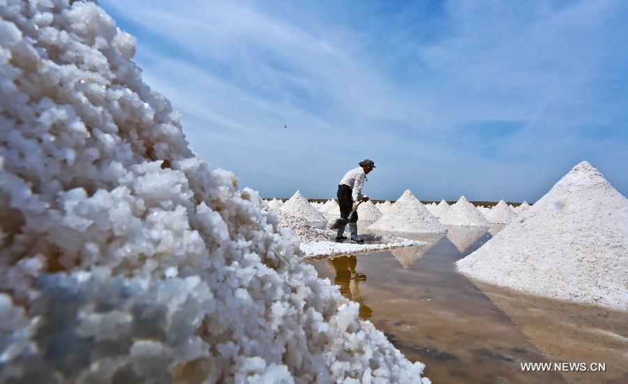 Workers harvest dried salt in Gansu