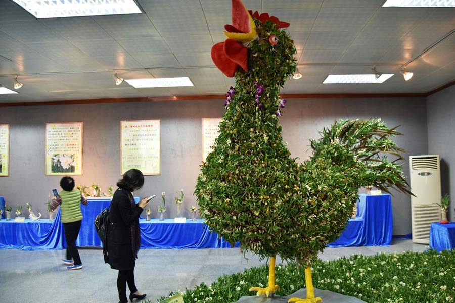 Oddly-shaped daffodil bonsai catches eyes in Shenzhen