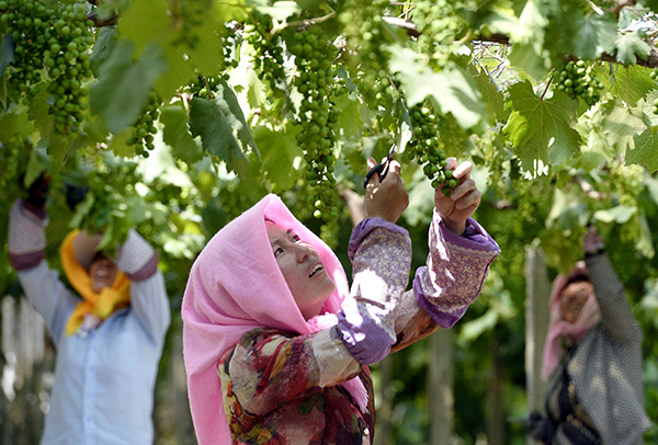 Chinese buyers own 2% of Bordeaux chateaus