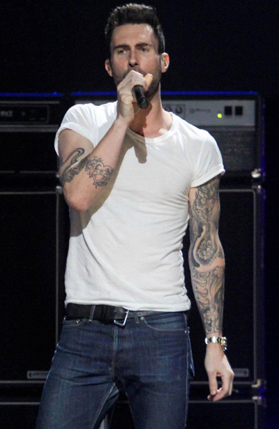 Adam Levine says Voice fame is 'intense'