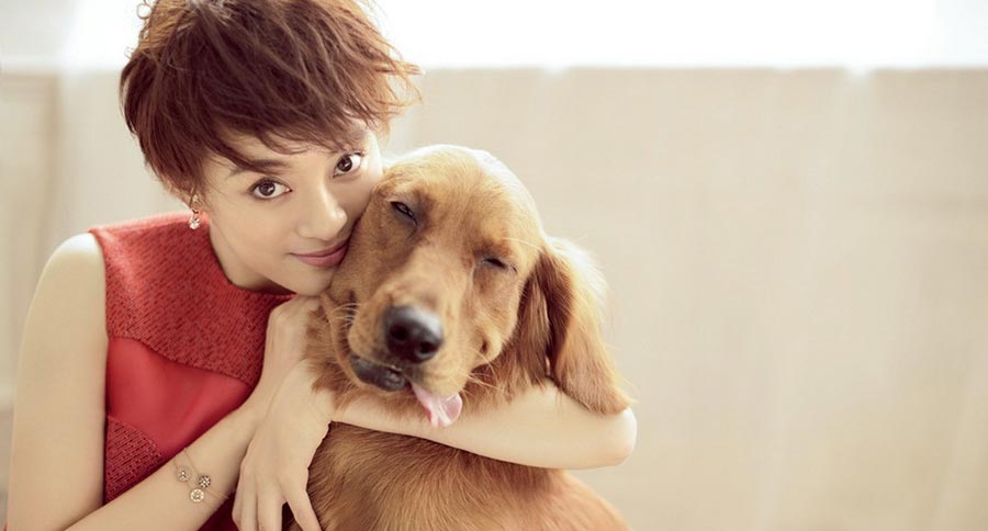 Sun Li poses with dogs for fashion magazine