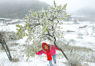 'April snow' in Chongqing