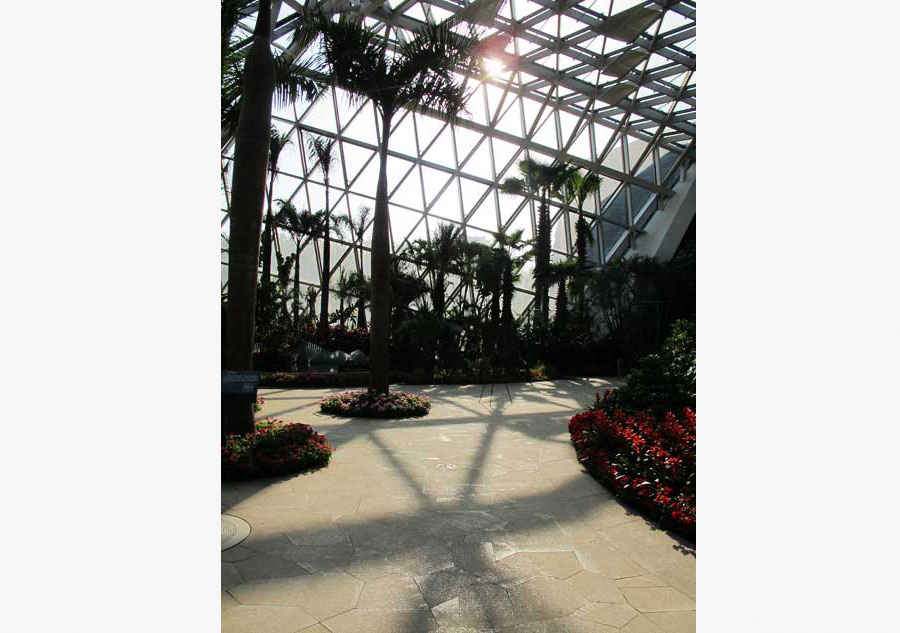 Catch a world of flowers at Tangshan's World Horticultural Exposition