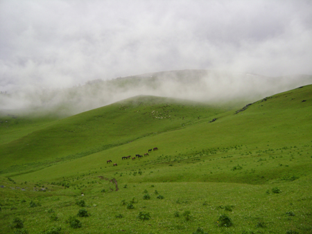 Heaven on horseback