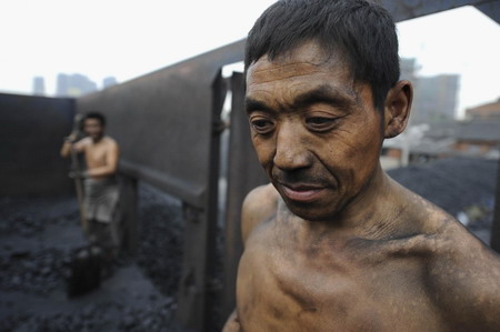 China's coal prices may increase 5%-10% in 2010