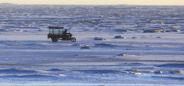 Bohai bay turns into block of ice