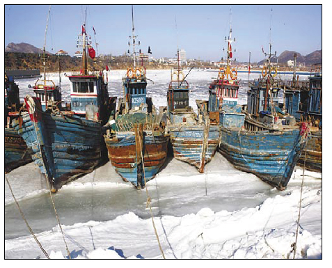 Bohai bay turns into block of ice