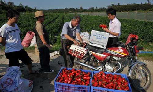 Hainan orders strict check to cow peas following toxic scandal