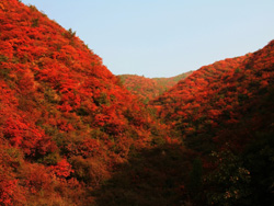 Henan, the midland of China