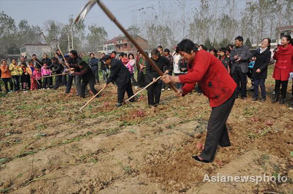 Sweet potatoes bring profit and fun to village