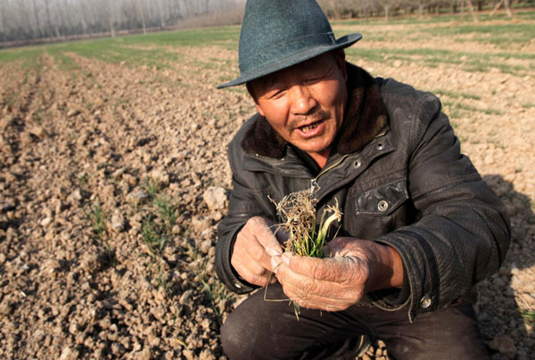 Drought and warmer weather threaten wheat, water supplies