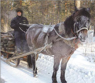 Christmas Village opens at 'China's North Pole'