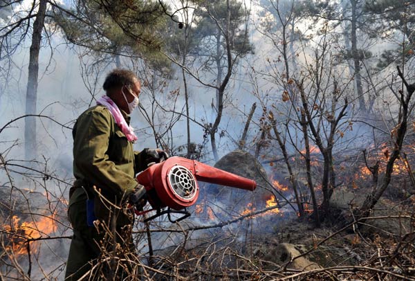 Forest fire breaks out in North China